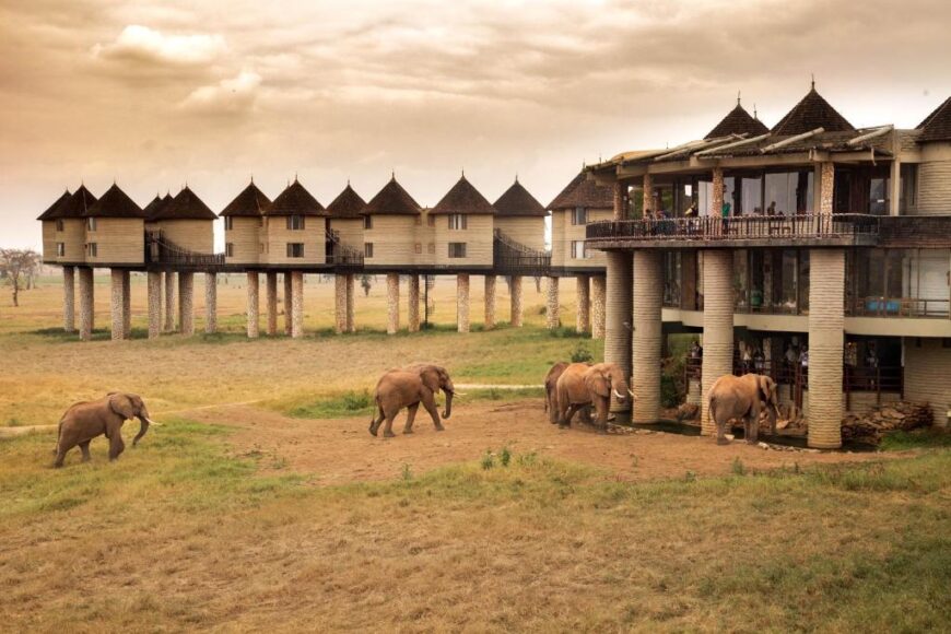 3 Days Tsavo Packages