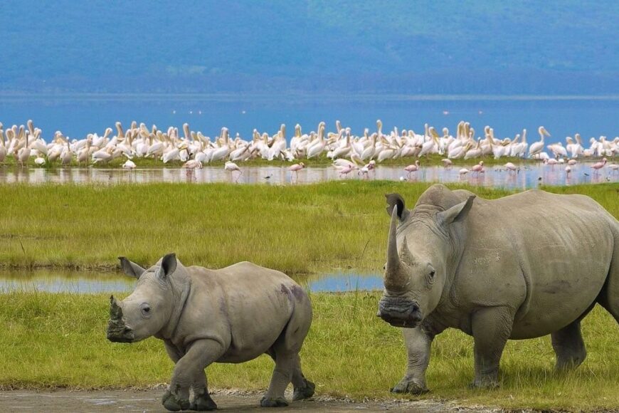 Nakuru Weekend Getaways