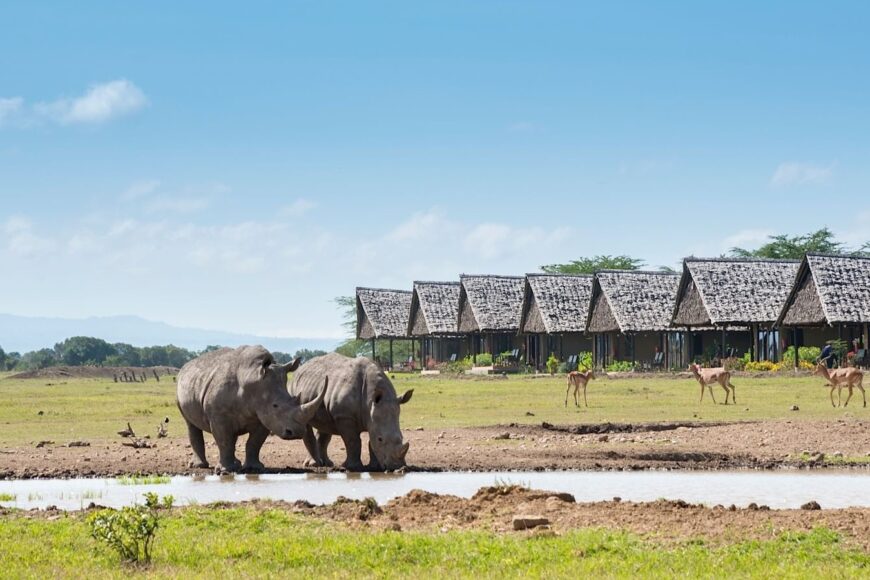 6 DAYS KENYA HIGHLIGHTS BUDGET SAFARI