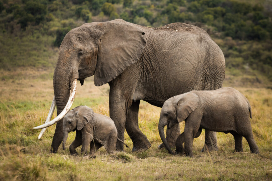 3 Days Samburu Package